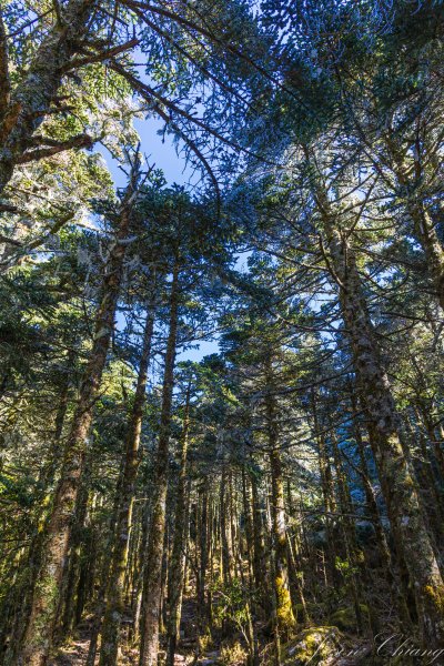 南二段撤退行2743231