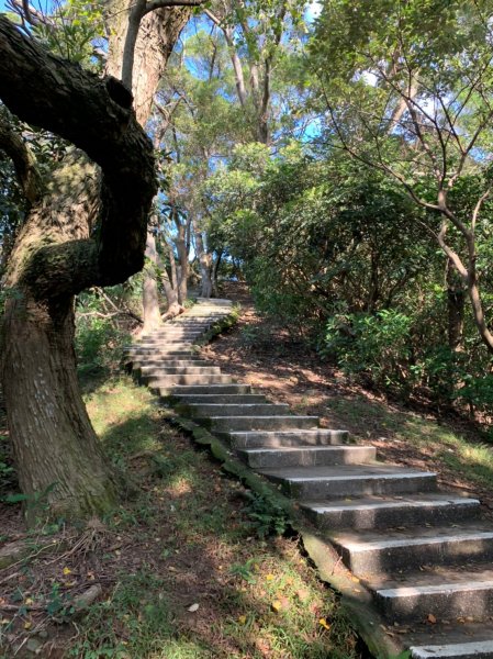 五酒桶山步道1564126