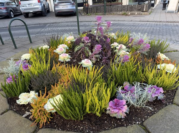 [紐約馬之行-20] 2025_1104 彩虹街2946296