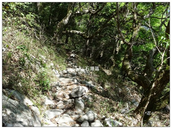 東卯山、東卯山西峰、東卯山西南峰 連走2932809