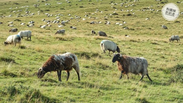 【勇氣2.0朝聖之旅】 D1庇里牛斯山賞雲海652970