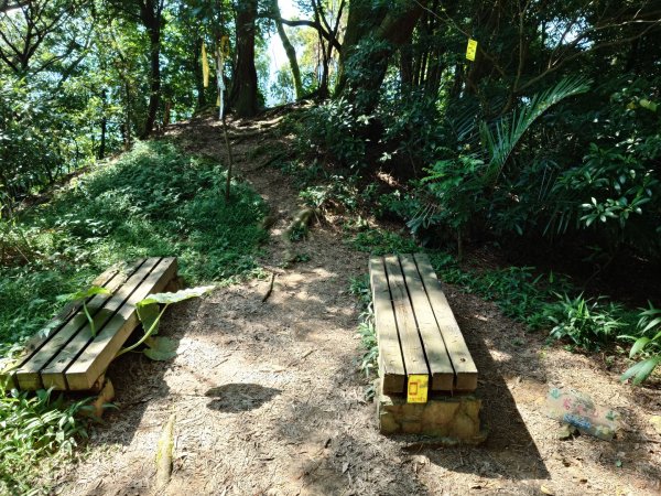 微笑山線之鳶山任務2855529