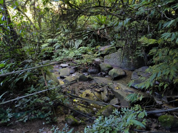 20250928微笑山線：【二格山系】銀河洞越嶺段2896181