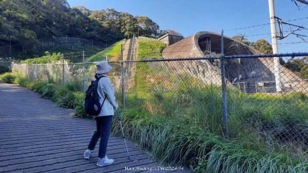 《新竹》湖口老街｜金獅古道O繞茶香及仁和步道202412062663705