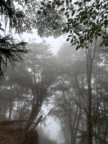 2026/02/08馬崙山3008161