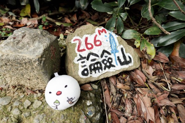 大崙頭尾山｜小百岳2756484