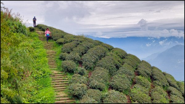 雲嘉五連峰(10-5上 情人橋回)202110241500414