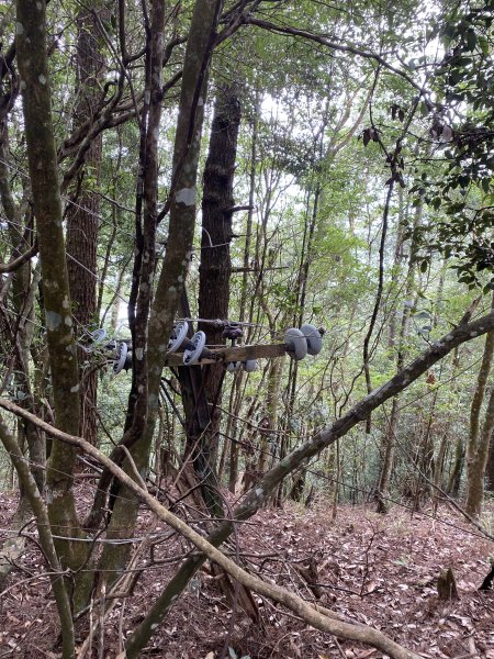 谷關七雄-波津加山1104267