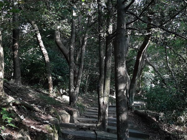 關渡親山步道｜雨過天晴 讓我們看雲去1434446