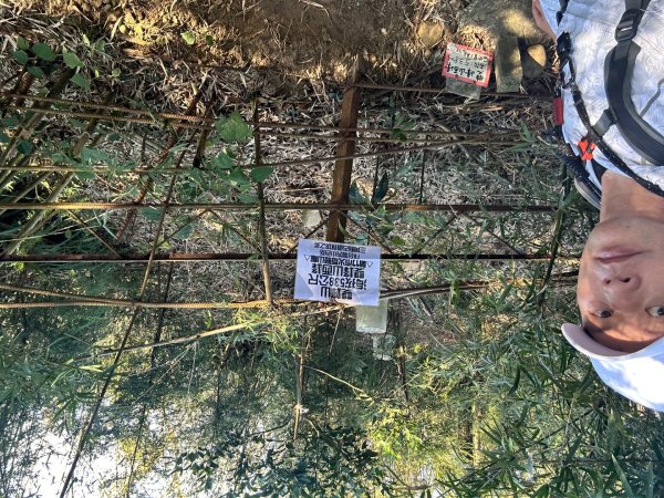 苗栗三義-三員縱走2616418