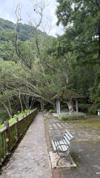 溪石2828035