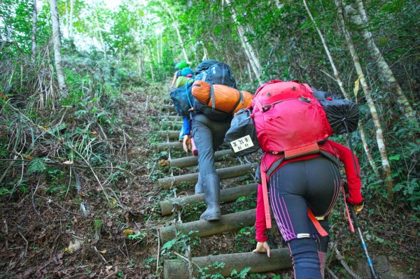 慢行霞喀羅(石鹿-霞喀羅大山-養老)700461