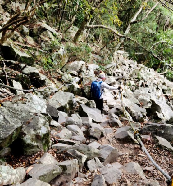 【中級山】谷關七雄波津加山2742310