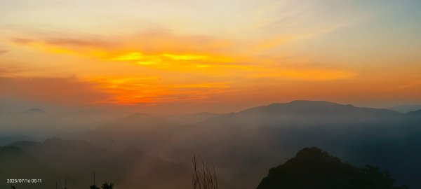 雲山水花鳥蝶-天龍國阿伯的日常 7/162838390