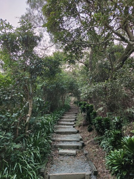 2023.12.08 南勢角山2695823