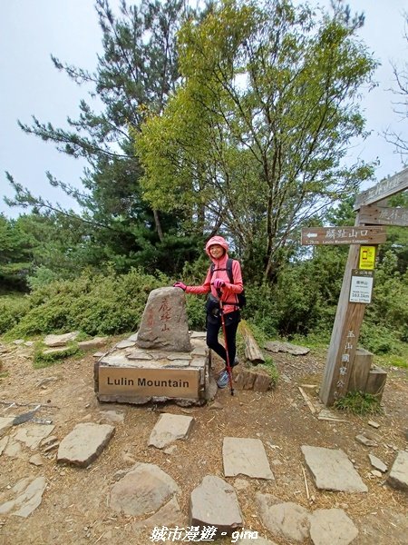 【南投信義】媲美百岳美景。 麟趾山鹿林山O型1859448