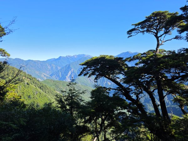 庫哈諾辛山 關山嶺山 溪頭山3135610