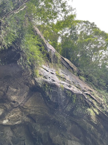 三貂嶺野人谷九瀑連走O型2838358