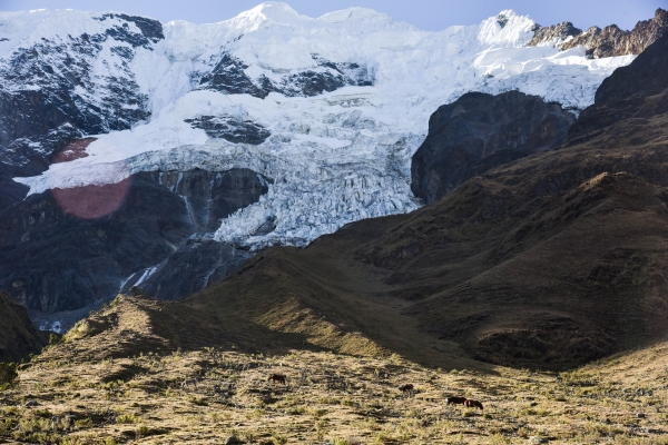 祕魯索坎泰健行與馬丘比丘探險55842
