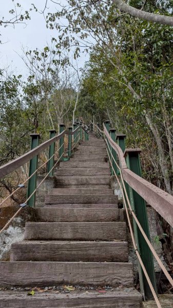 後尖山步道3008303