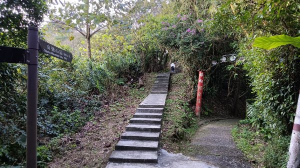 小百岳紅淡山2339801