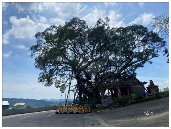 大坪頂山 (苗栗、卓蘭)2845271
