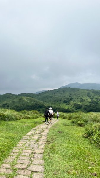 230701 擎天崗環形步道 🐂2201276