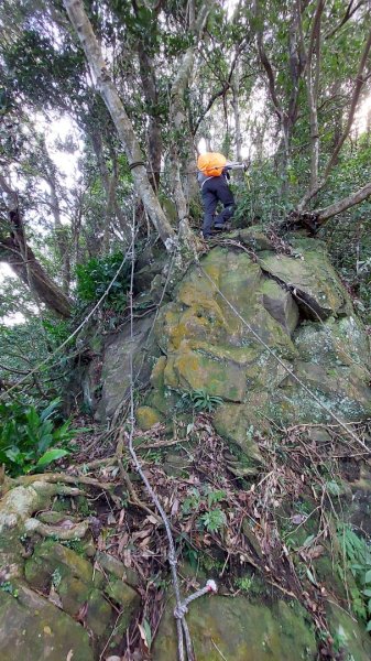 安坑五山縱走2784640