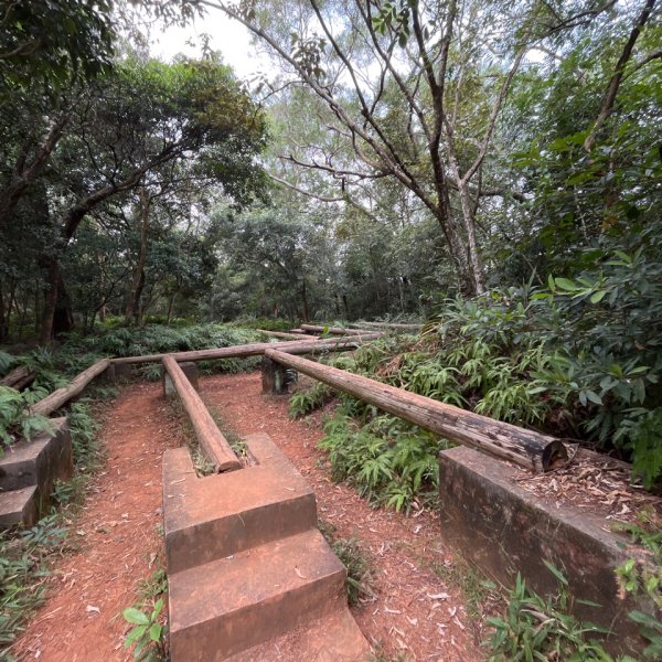 20231024_新竹飛龍健行步道（森遊竹縣）2762916