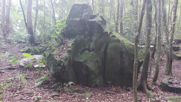 上島山(鳥嘴山)上下1442108