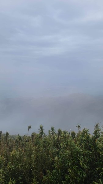 2026-0116 大屯三山_貴子坑_北投2984851