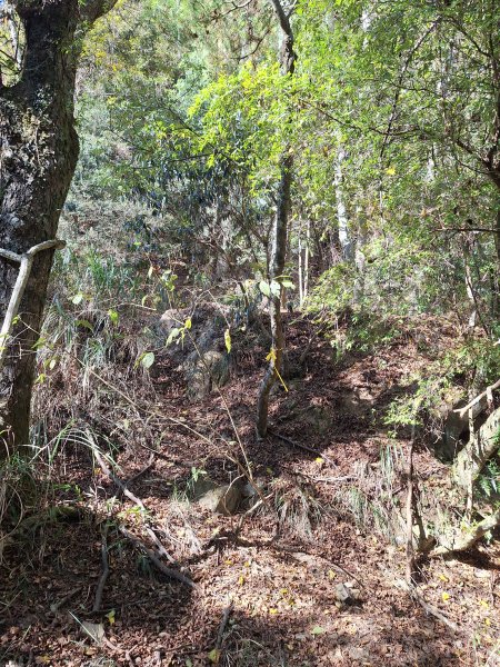 雪見駐在所+雪見山202512252971678