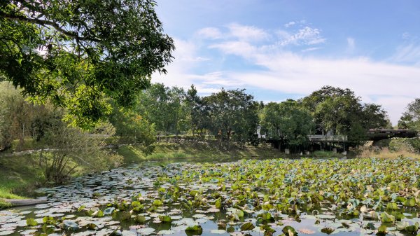 東勢林業文化園區2647977