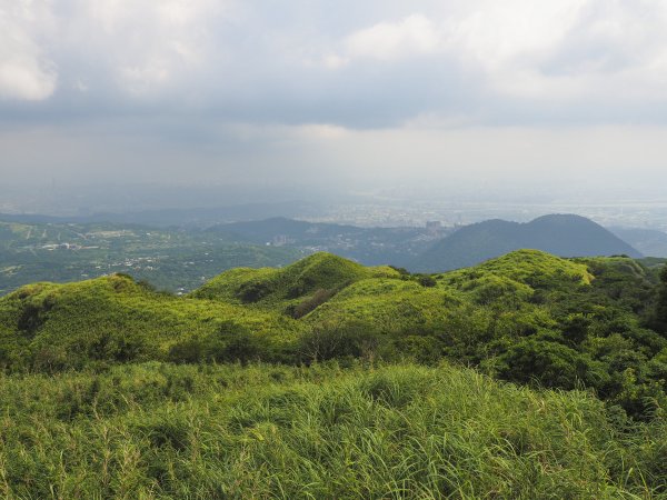 [台北]七星山主、東峰2031456