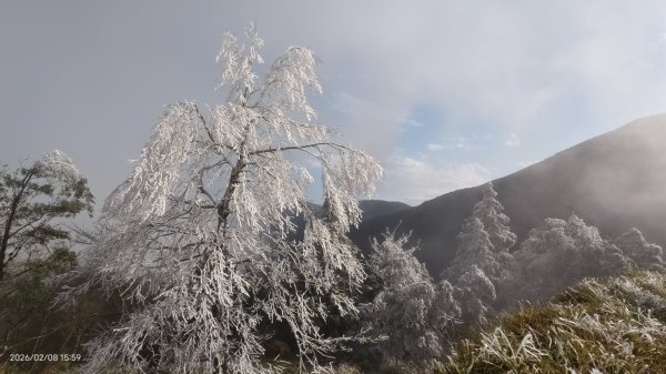 #霧淞 #雲海 #雲瀑 #霧虹 #太平山 #望洋山 #觀雲步道 #翠峰道路  2/82995381