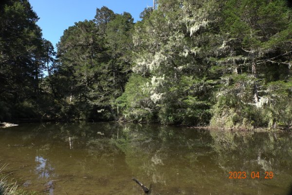 南投 仁愛 武法奈尾山2133766