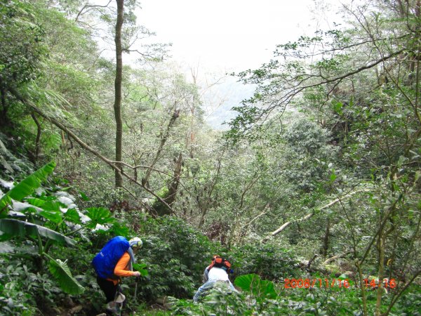 五指山200811161954672