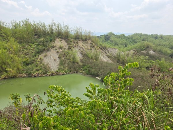 2025-04-07 左鎮後坑古道（牛港嶺）2757655