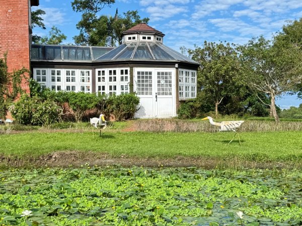 生態環境豐富的仁山植物園 感受鑑湖秋月-梅花湖的魅力2953846