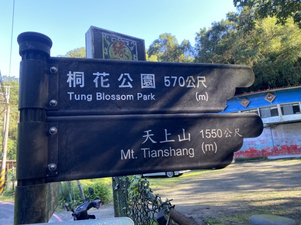 2025微笑山線大縱走尋寶集章任務-Ep.04【天上山系】望月亭桐花段｜石門內尖山東峰 ×石門內尖山2979076