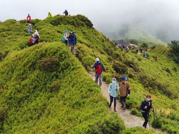 新手登百岳創高峰-合歡南連走主峰1138418