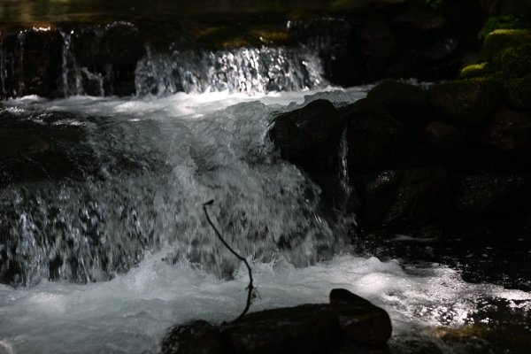 2025_0628 大羅蘭溪古圳步道(福山馬岸)2825222