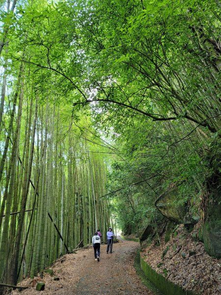 大凍山步道2235066