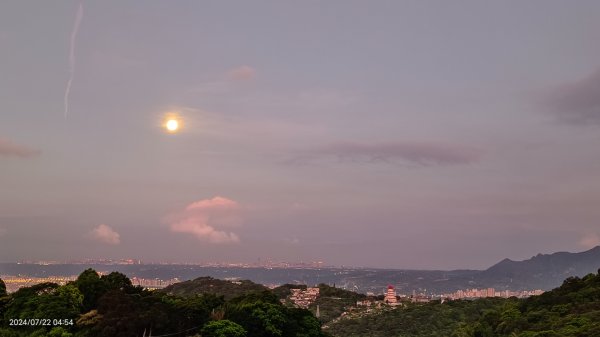 雲山水花鳥蝶 - 天龍國阿伯的日常7/18 & 21、22、292556642