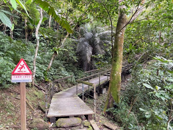 鯉魚山步道群2728332