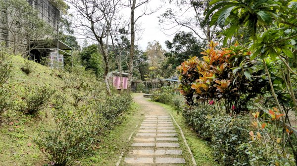 楊梅保甲古道,福人登山步道2695952