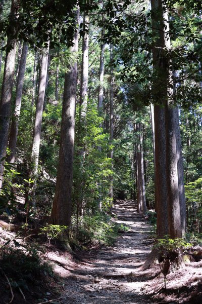 熊野参詣道中辺路：雲取越に祈りは続く2925782