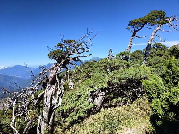 北一段(11/14)南湖北峰 2025_0906~132887310