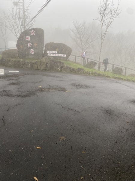 迷糊步道3062533
