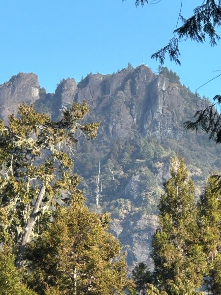 阿里山園區巨木群步道繞一圈2420744